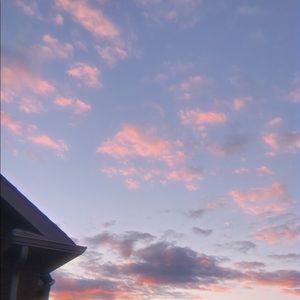 Meet your Posher, Riley